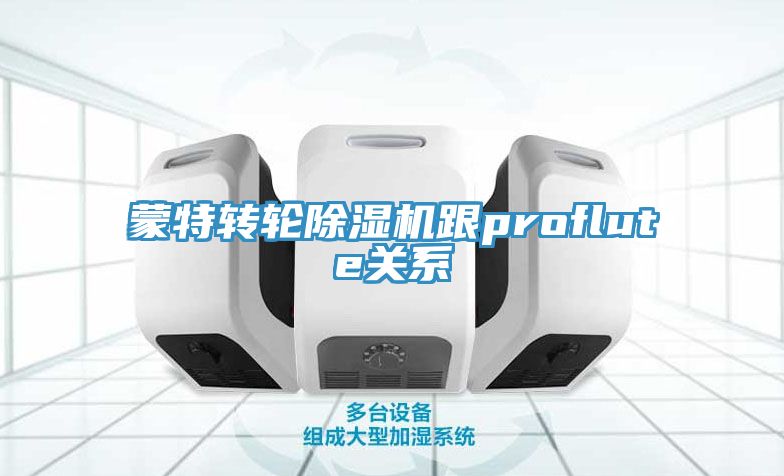 蒙特轉輪草莓污视频在线看跟proflute關係