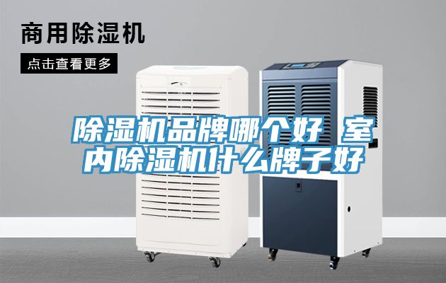 草莓污视频在线看品牌哪個好 室內草莓污视频在线看什麽牌子好