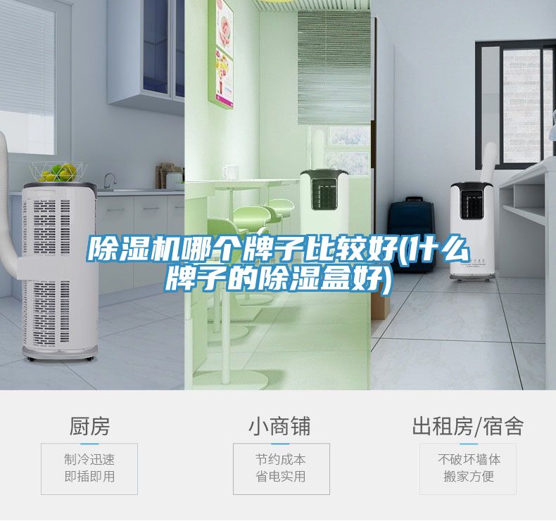 草莓污视频在线看哪個牌子比較好(什麽牌子的除濕盒好)