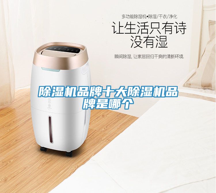 草莓污视频在线看品牌十大草莓污视频在线看品牌是哪個
