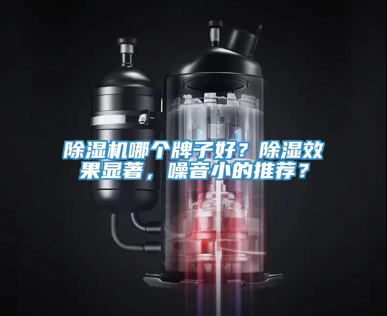 草莓污视频在线看哪個牌子好？除濕效果顯著，噪音小的推薦？