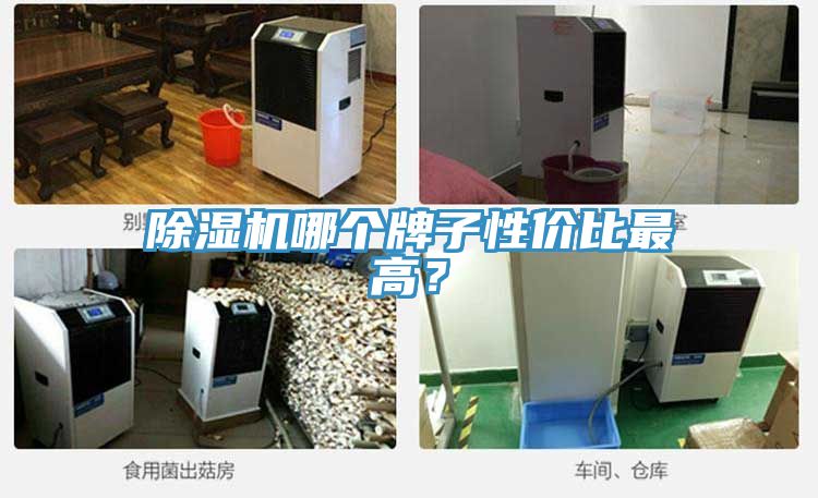 草莓污视频在线看哪個牌子性價比最高？