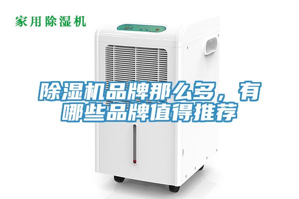 草莓污视频在线看品牌那麽多，有哪些品牌值得推薦