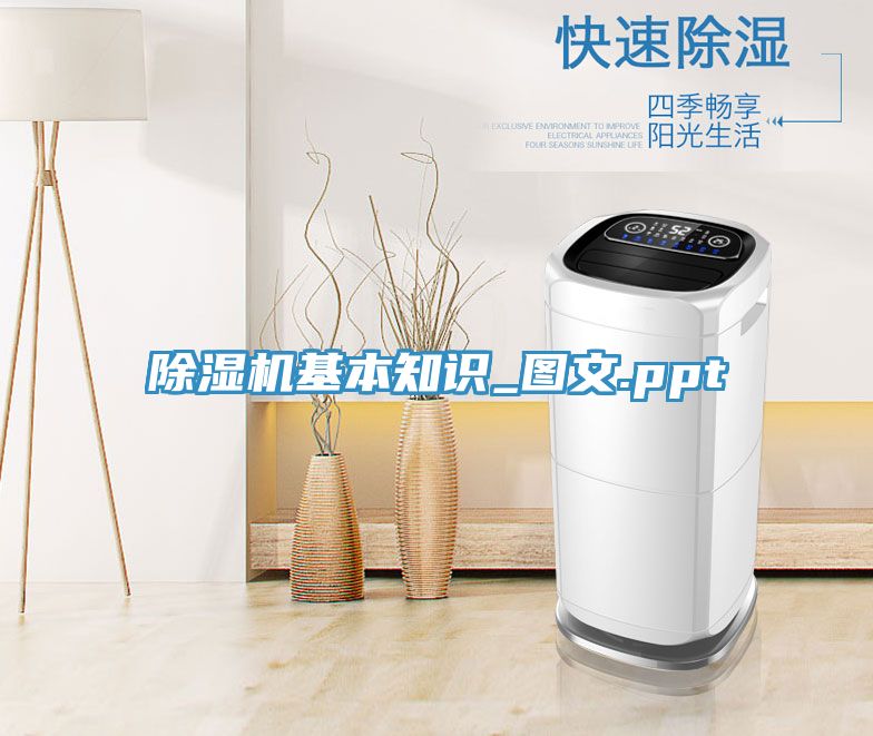 草莓污视频在线看基本知識_圖文.ppt