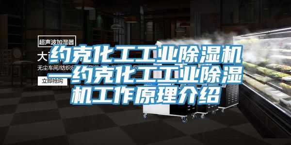 約克化工工業草莓污视频在线看—約克化工工業草莓污视频在线看工作原理介紹