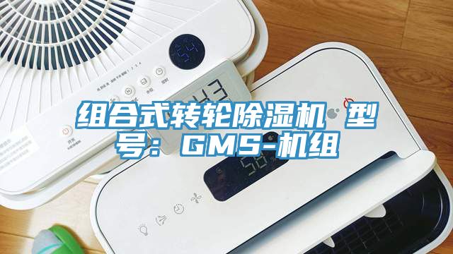 組合式轉輪草莓污视频在线看 型號：GMS-機組