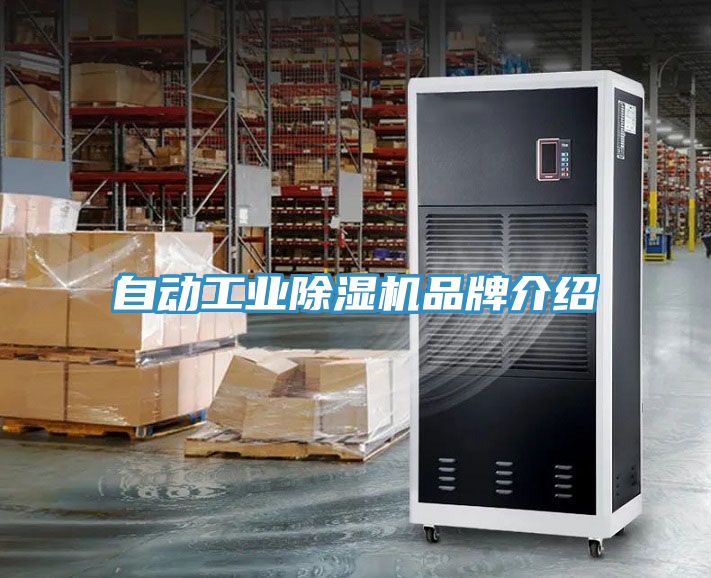 自動工業草莓污视频在线看品牌介紹