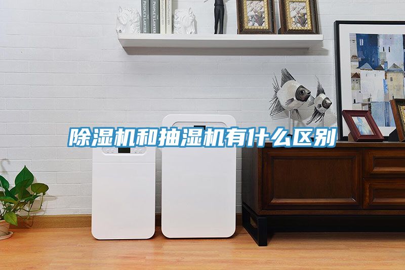 草莓污视频在线看和抽濕機有什麽區別