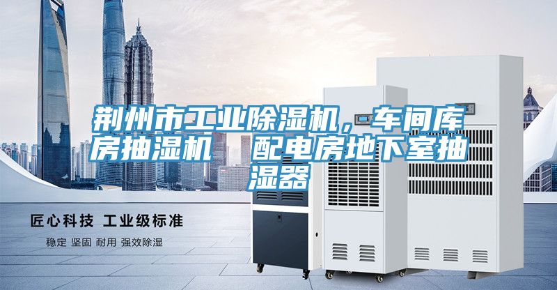 荊州市工業草莓污视频在线看，車間庫房抽濕機  配電房地下室抽濕器