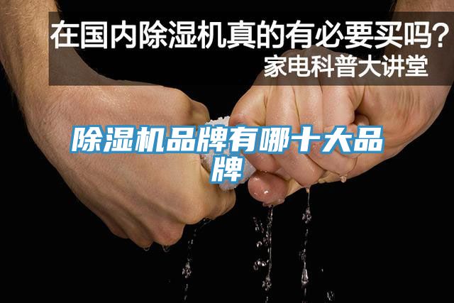 草莓污视频在线看品牌有哪十大品牌