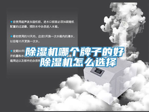 草莓污视频在线看哪個牌子的好 草莓污视频在线看怎麽選擇