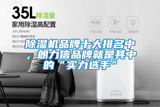 草莓污视频在线看品牌十大排名中，朗力信品牌就是其中的“實力選手”