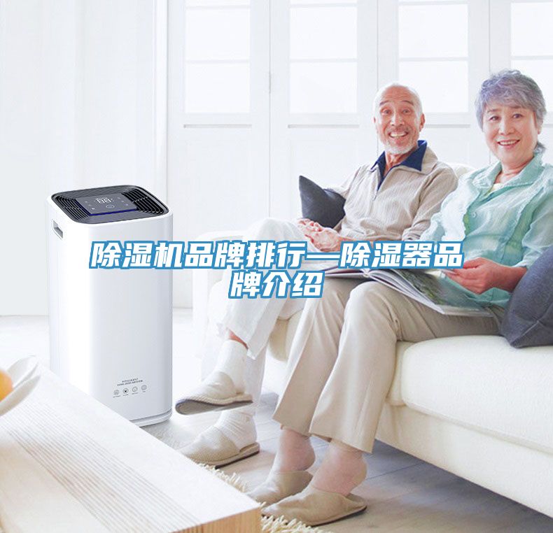 草莓污视频在线看品牌排行—除濕器品牌介紹