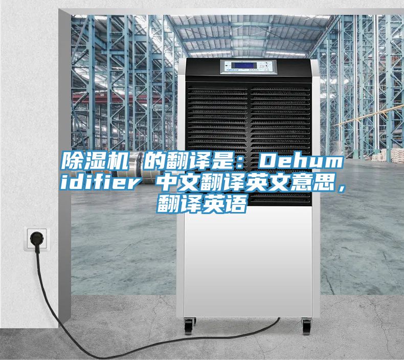 草莓污视频在线看 的翻譯是：Dehumidifier 中文翻譯英文意思，翻譯英語