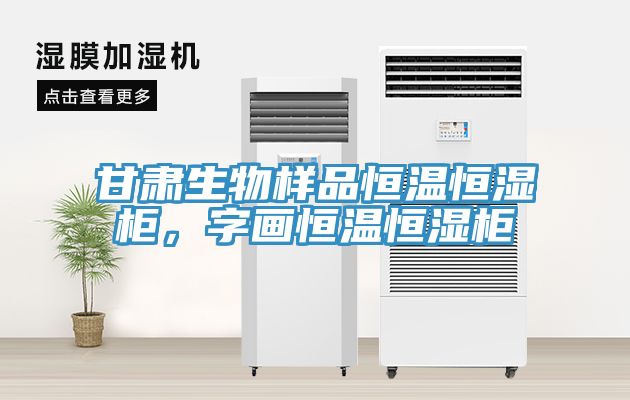 甘肅生物樣品恒溫恒濕櫃，字畫恒溫恒濕櫃