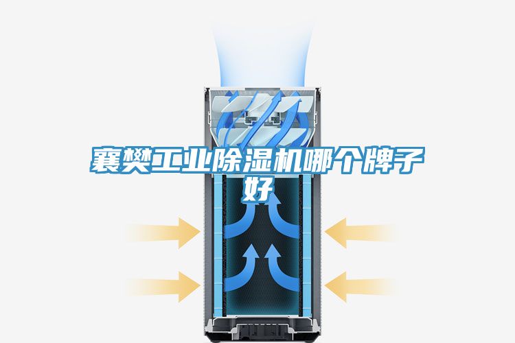 襄樊工業草莓污视频在线看哪個牌子好