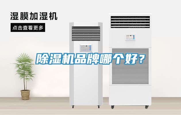 草莓污视频在线看品牌哪個好？
