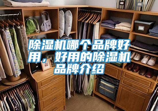 草莓污视频在线看哪個品牌好用，好用的草莓污视频在线看品牌介紹