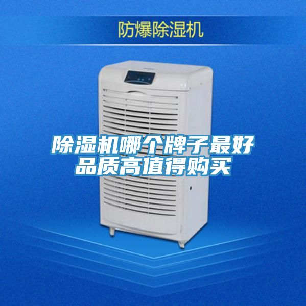 草莓污视频在线看哪個牌子最好品質高值得購買