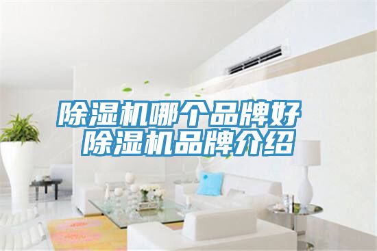 草莓污视频在线看哪個品牌好 草莓污视频在线看品牌介紹