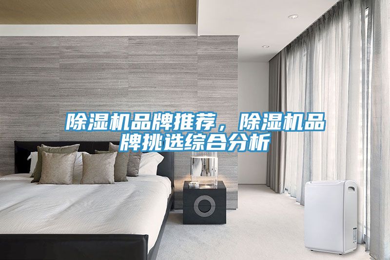 草莓污视频在线看品牌推薦，草莓污视频在线看品牌挑選綜合分析
