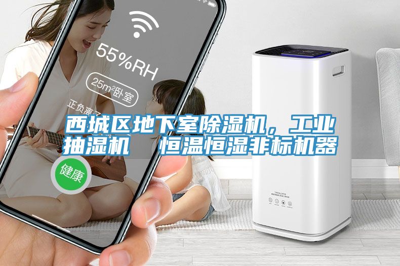 西城區地下室草莓污视频在线看，工業抽濕機  恒溫恒濕非標機器