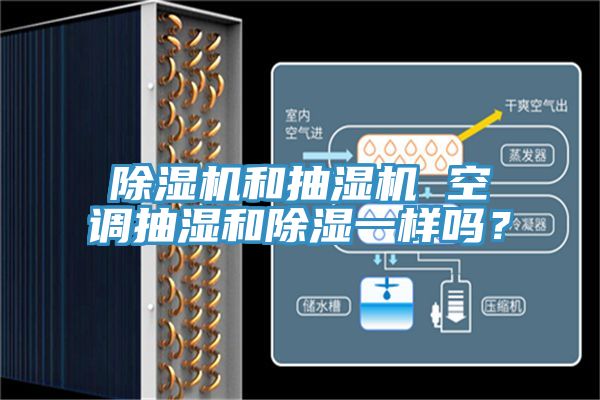 草莓污视频在线看和抽濕機 空調抽濕和除濕一樣嗎？