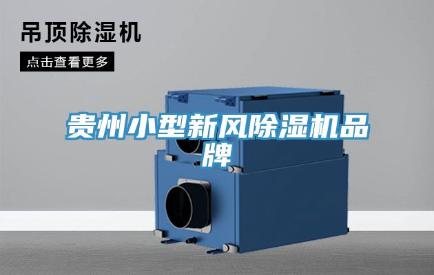 貴州小型新風草莓污视频在线看品牌