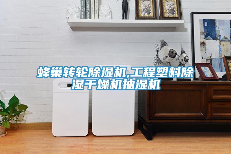 蜂巢轉輪草莓污视频在线看,工程塑料除濕幹燥機抽濕機