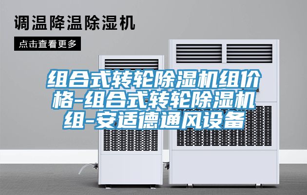 組合式轉輪草莓污视频在线看組價格-組合式轉輪草莓污视频在线看組-安適德通風設備