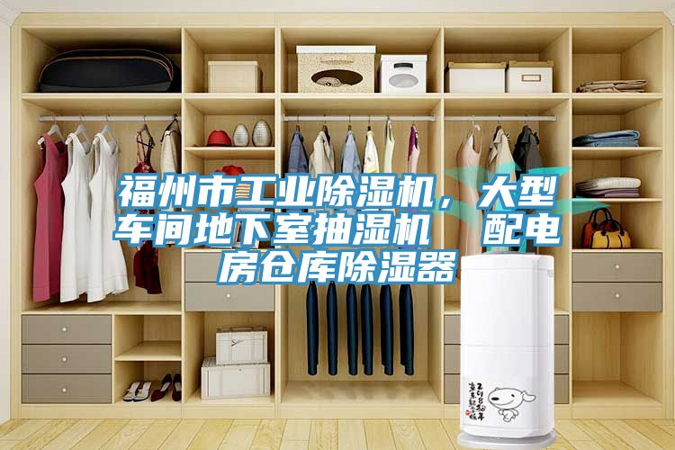 福州市工業草莓污视频在线看，大型車間地下室抽濕機  配電房倉庫除濕器