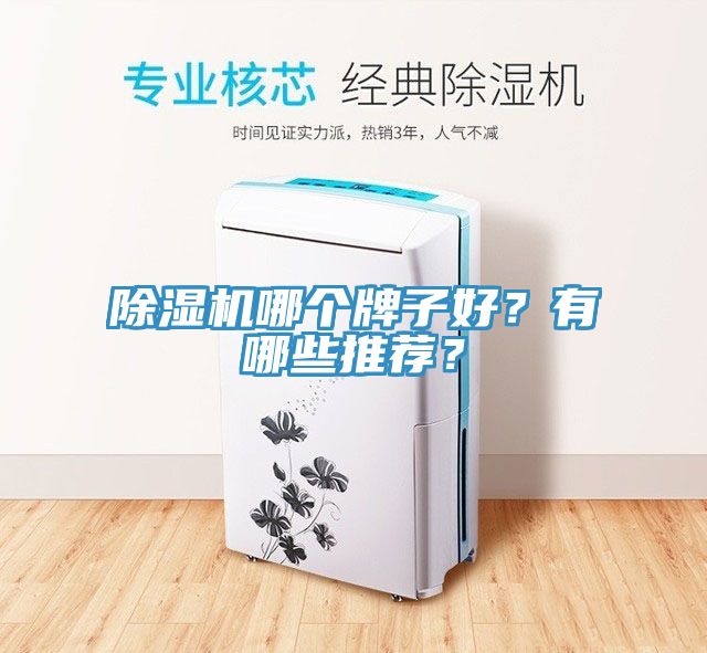 草莓污视频在线看哪個牌子好？有哪些推薦？