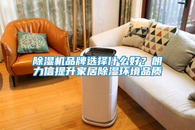 草莓污视频在线看品牌選擇什麽好？朗力信提升家居除濕環境品質