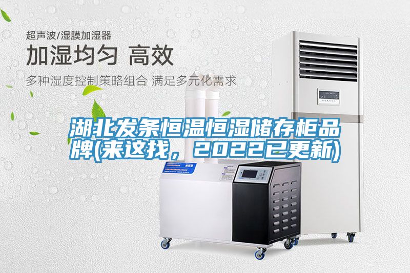 湖北發條恒溫恒濕儲存櫃品牌(來這找，2022已更新)