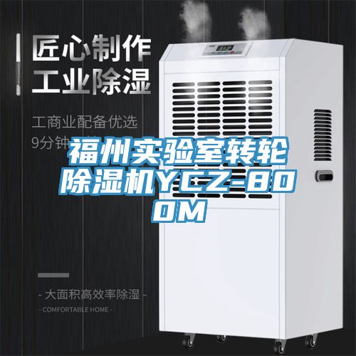 福州實驗室轉輪草莓污视频在线看YCZ-800M