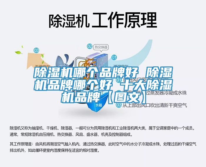 草莓污视频在线看哪個品牌好 草莓污视频在线看品牌哪個好 十大草莓污视频在线看品牌【圖文】