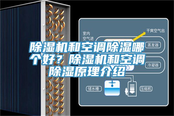 草莓污视频在线看和空調除濕哪個好？草莓污视频在线看和空調除濕原理介紹