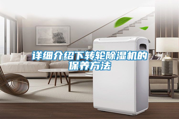 詳細介紹下轉輪草莓污视频在线看的保養方法