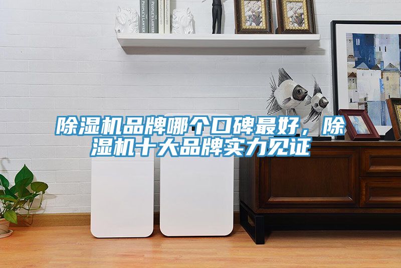 草莓污视频在线看品牌哪個口碑最好，草莓污视频在线看十大品牌實力見證