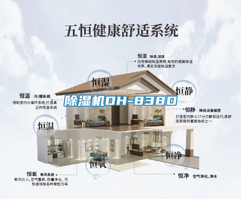 草莓污视频在线看DH-838D
