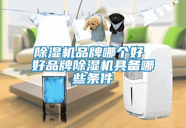 草莓污视频在线看品牌哪個好 好品牌草莓污视频在线看具備哪些條件