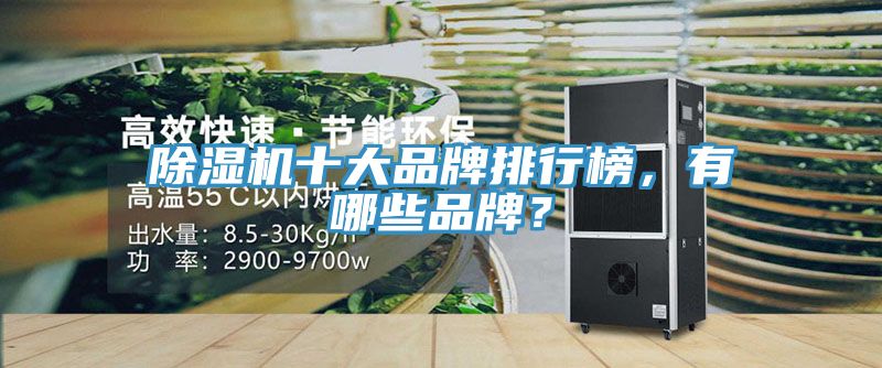 草莓污视频在线看十大品牌排行榜，有哪些品牌？