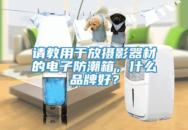 請教用於放攝影器材的電子防潮箱，什麽品牌好？