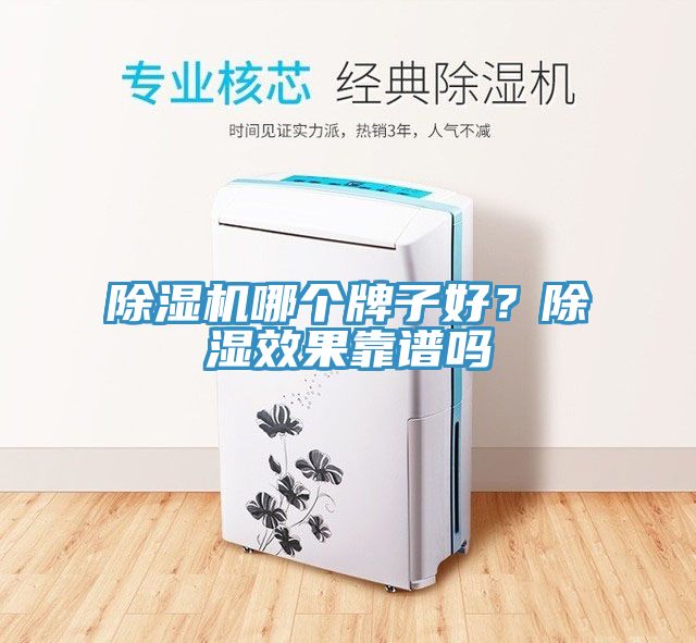 草莓污视频在线看哪個牌子好？除濕效果靠譜嗎
