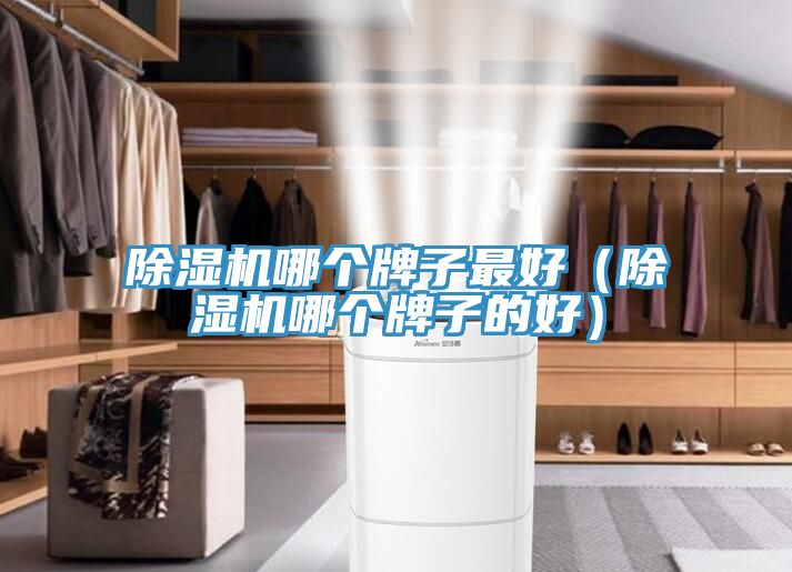 草莓污视频在线看哪個牌子最好（草莓污视频在线看哪個牌子的好）