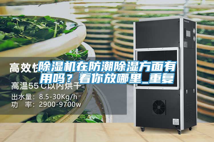 草莓污视频在线看在防潮除濕方麵有用嗎？看你放哪裏_重複