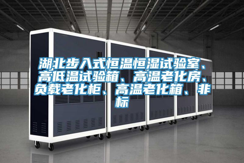 湖北步入式恒溫恒濕試驗室、高低溫試驗箱、高溫老化房、負載老化櫃、高溫老化箱、非標