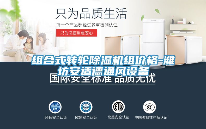 組合式轉輪草莓污视频在线看組價格-濰坊安適德通風設備