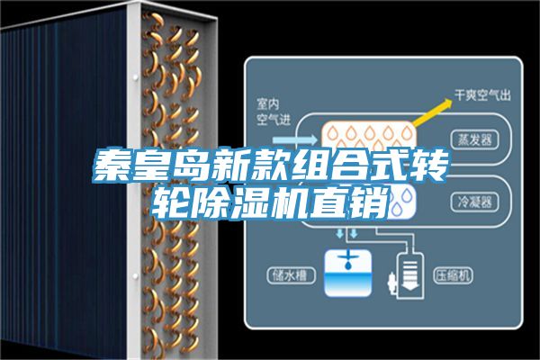秦皇島新款組合式轉輪草莓污视频在线看直銷