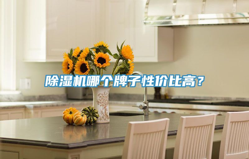 草莓污视频在线看哪個牌子性價比高？